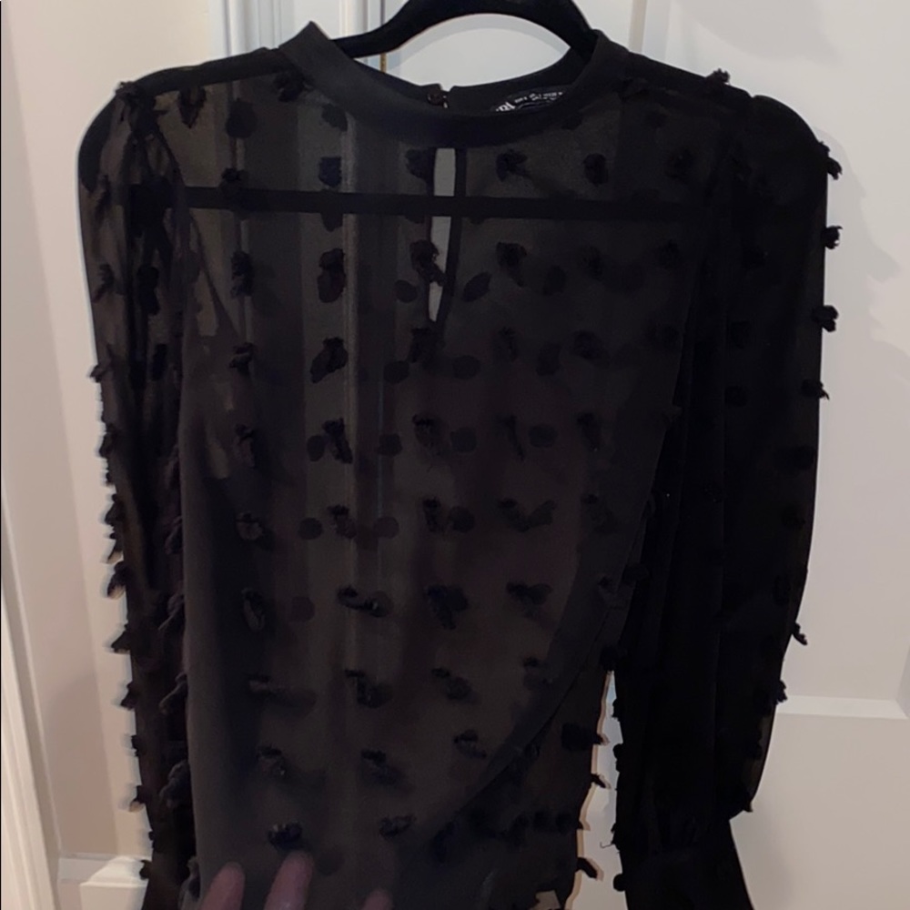 Zara Sheer Black Long Sleeve Top Size Small